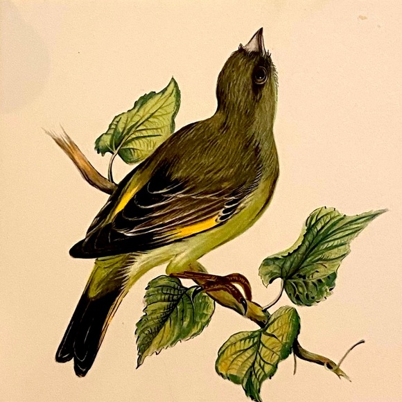 Vintage German Ceramic Sparrow Tile Art - Picture 2 of 4